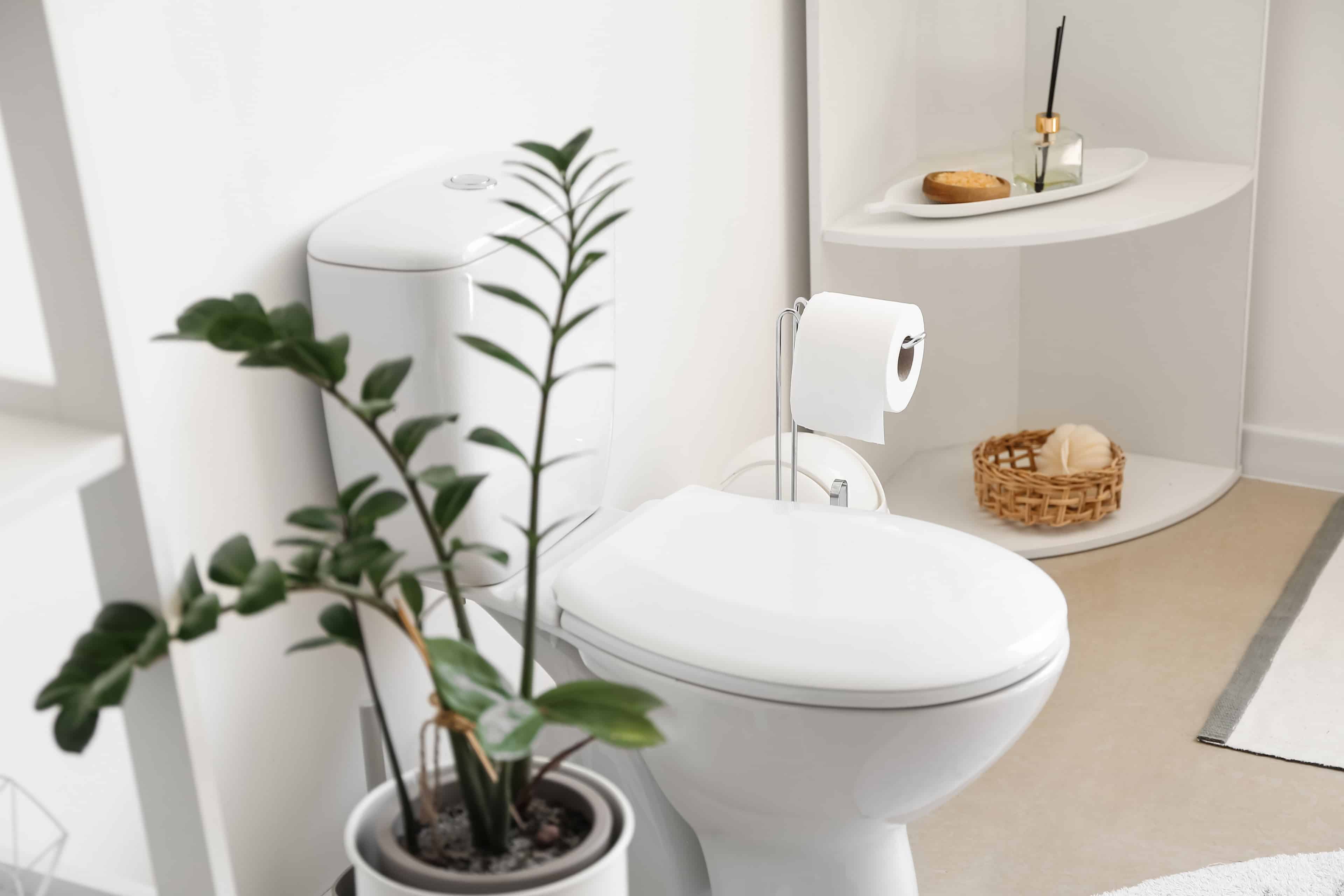 Toilet Installation & Repair image